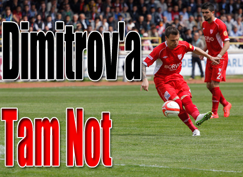Dimitrov'a Tam Not