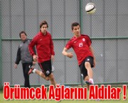 Örümcek Ağlarını Aldılar
