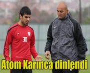 Atom Karınca dinlendi