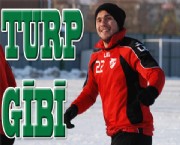 Sercan Turp Gibi