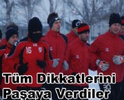 Tüm Dikkatlerini Paşaya Verdiler