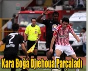 Kara Boğa Djıehoua  Parçaladı