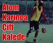 Atom Karınca Çift Kalede