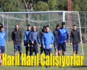 Harıl Harıl Çalışıyorlar