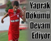 Yaprak Dökümü Devam Ediyor