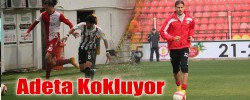 Adeta Kokluyor