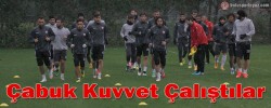 Çabuk Kuvvet Çalıştılar