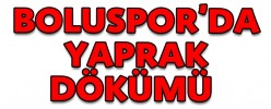 BOLUSPOR’DA YAPRAK DÖKÜMÜ