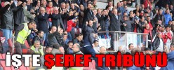 İŞTE ŞEREF TRİBÜNÜ