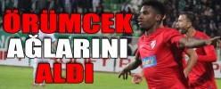 ÖRÜMCEK AĞLARINI ALDI