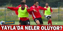 YAYLA’DA NELER OLUYOR?
