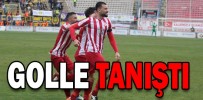 GOLLE TANIŞTI