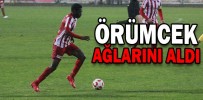 ÖRÜMCEK AĞLARINI ALDI