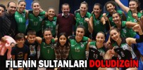 FİLENİN SULTANLARI DOLUDİZGİN