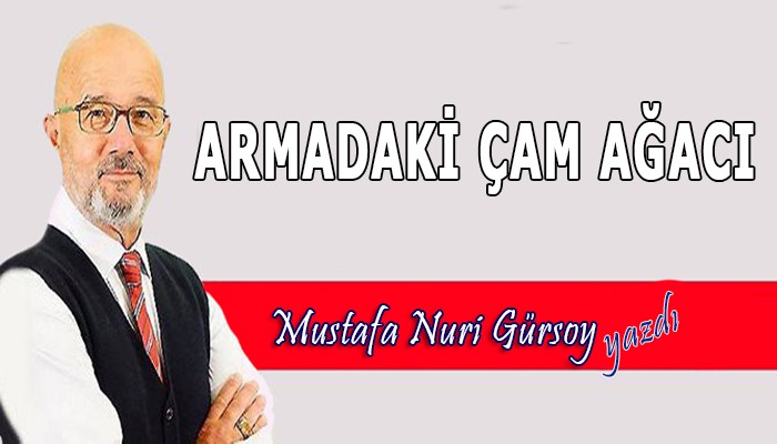 Mustafa Nuri Gürsoy