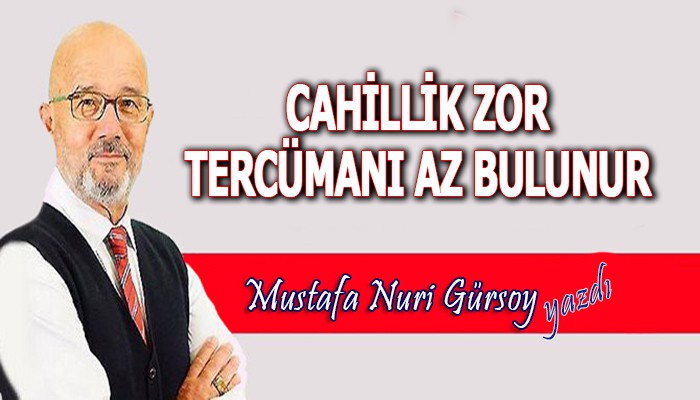 Mustafa Nuri Gürsoy