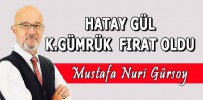 HATAY GÜL KARAGÜMRÜK FIRAT OLDU