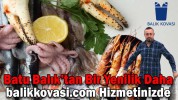 balikkovasi.com Hizmetinizde