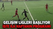 GELİŞİM LİGLERİ BAŞLIYOR