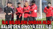 BALDE’DEN DINO’YA ÖZEL İLGİ