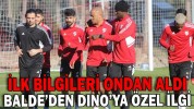 BALDE’DEN DINO’YA ÖZEL İLGİ