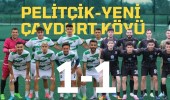 Pelitçik-Yeni Çaydurt Köyü; 1-1