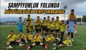 Şampiyonluk Yolunda Büyüleyici Performans: Soysalspor 14-0!